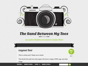 Vintage Camera theme screenshot