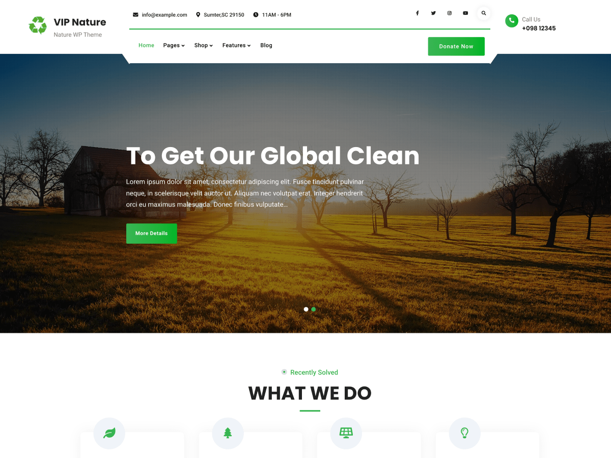 VIP Business Nature theme screenshot