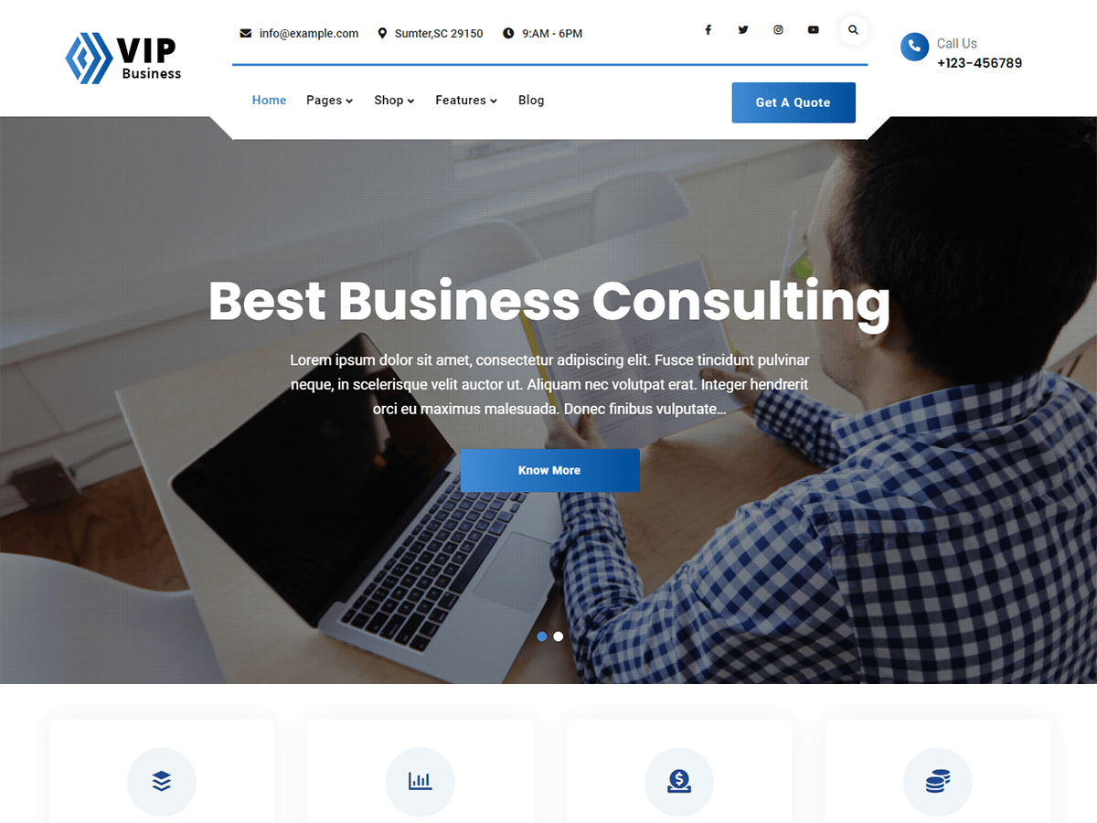 VIP Business theme screenshot