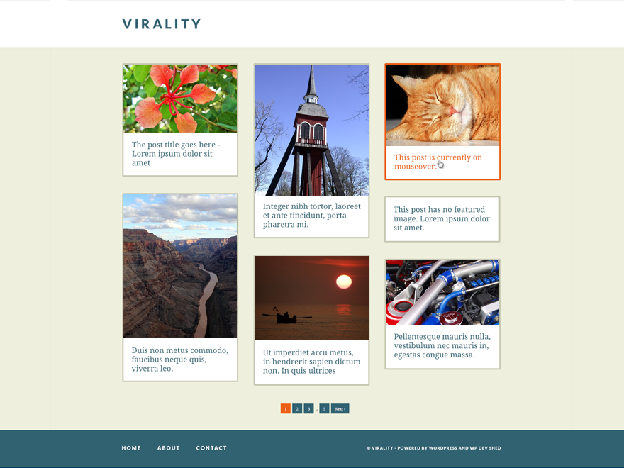 Virality theme screenshot