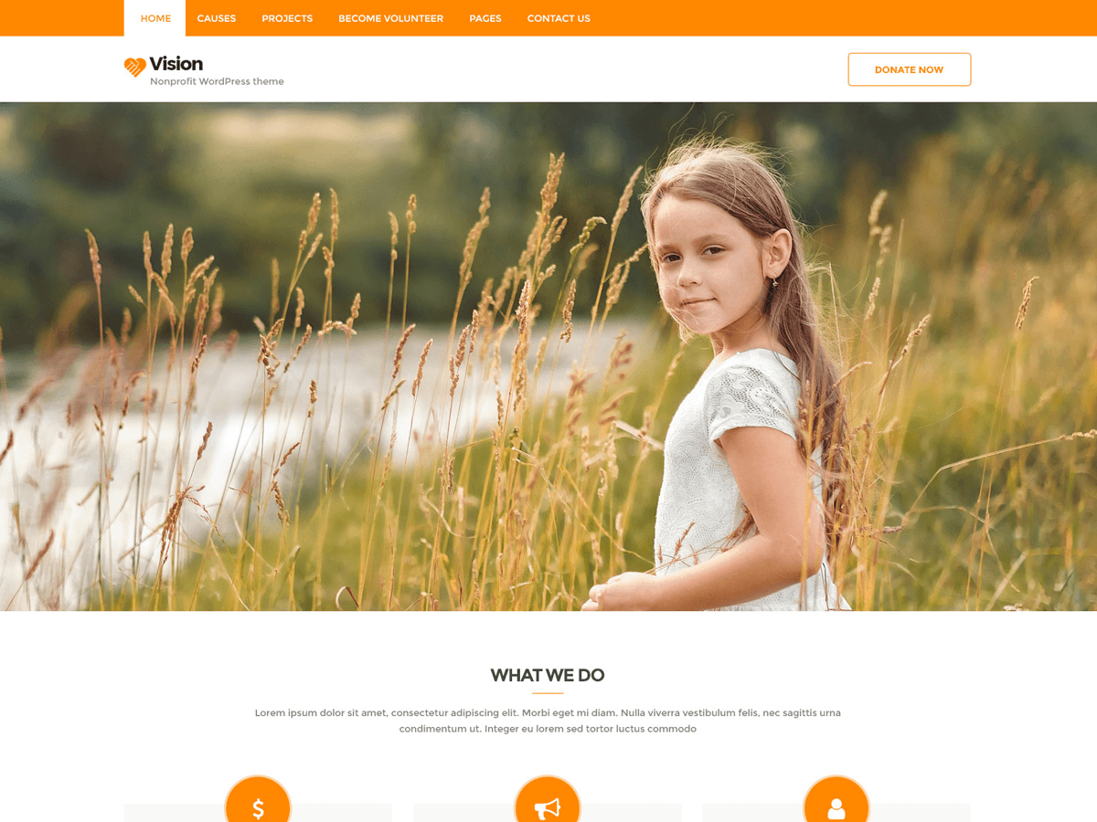Vision Lite theme screenshot