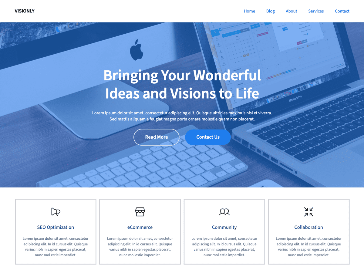 Visionly theme screenshot