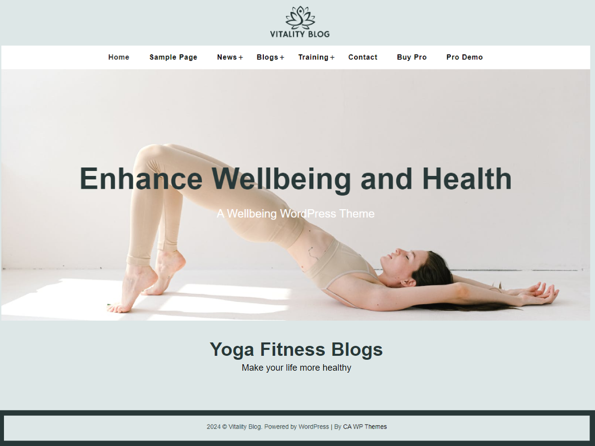 Vitality Blog theme screenshot