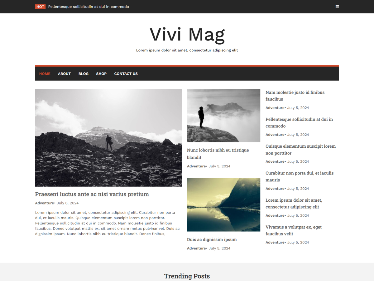 Vivi Mag theme screenshot
