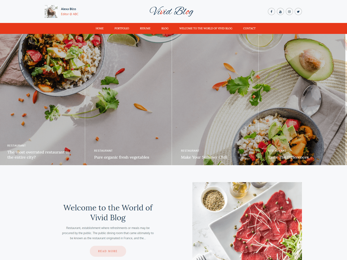 Vivid Blog theme screenshot