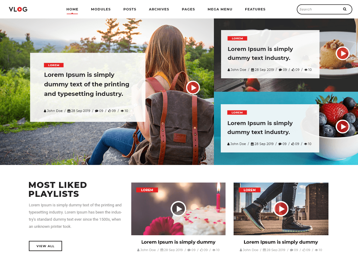 Vlogger Video Blog theme screenshot