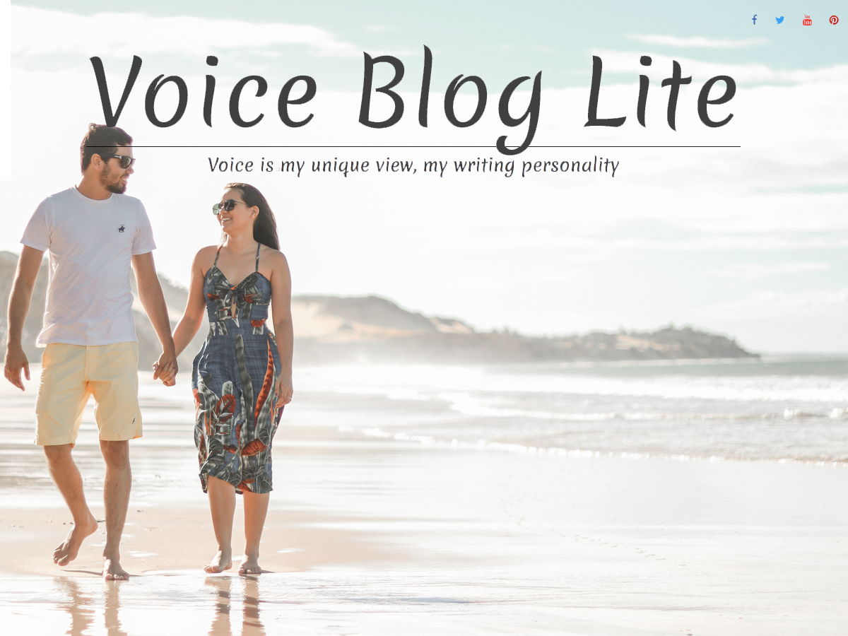 Voice Blog Lite theme screenshot