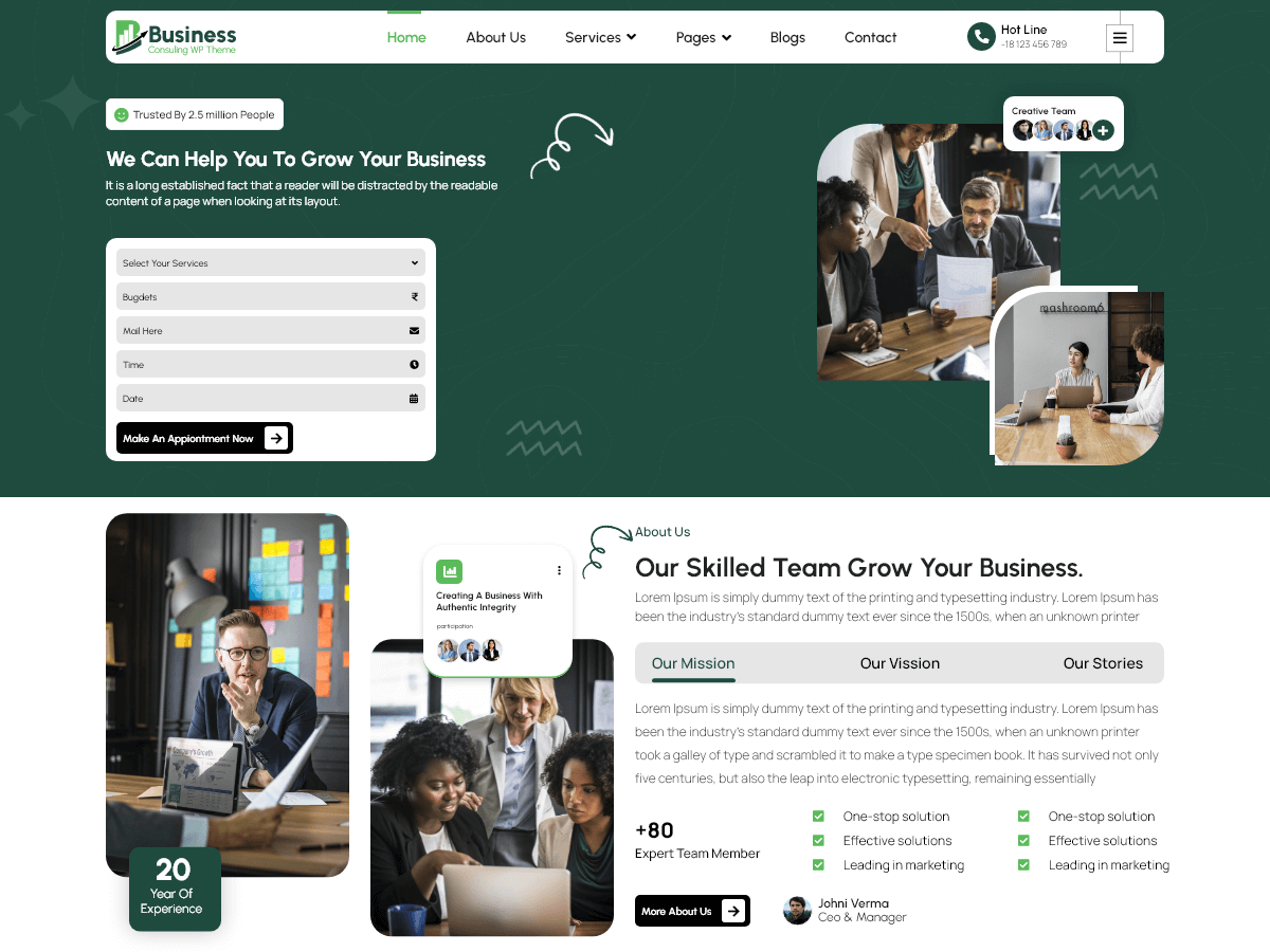 VW Business Consulting theme screenshot
