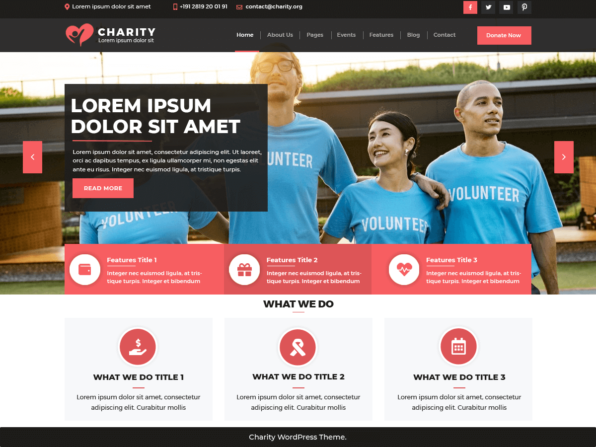 VW Charity NGO theme screenshot