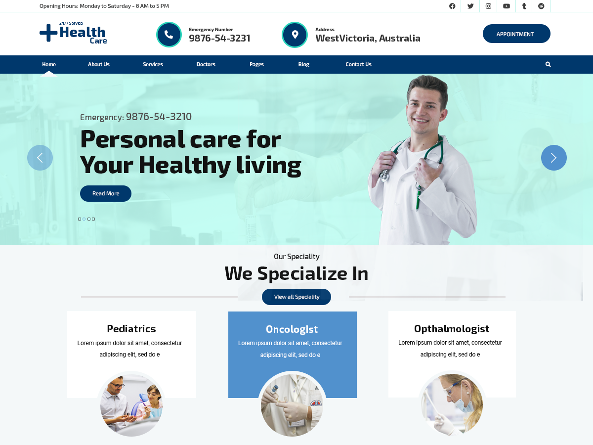 VW Healthcare theme screenshot