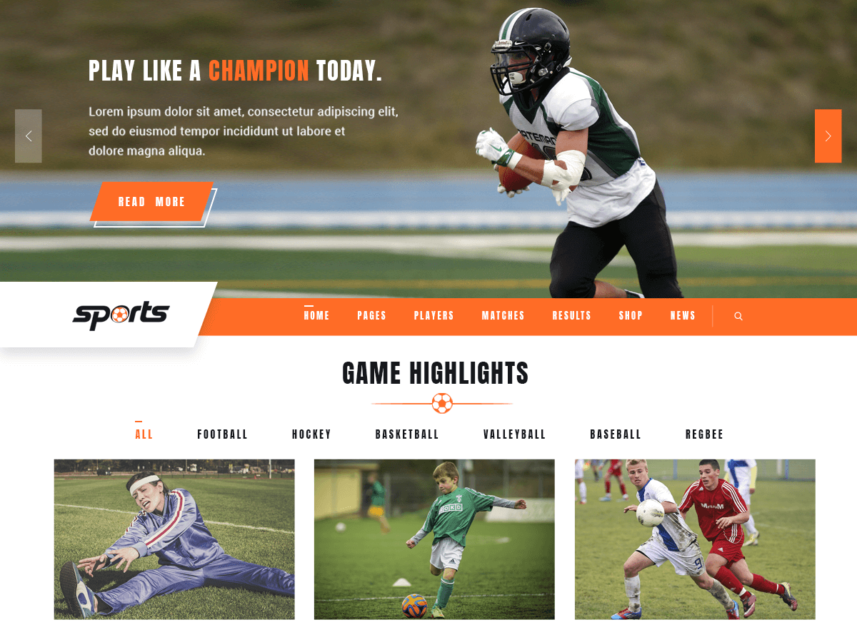 VW Sports theme screenshot