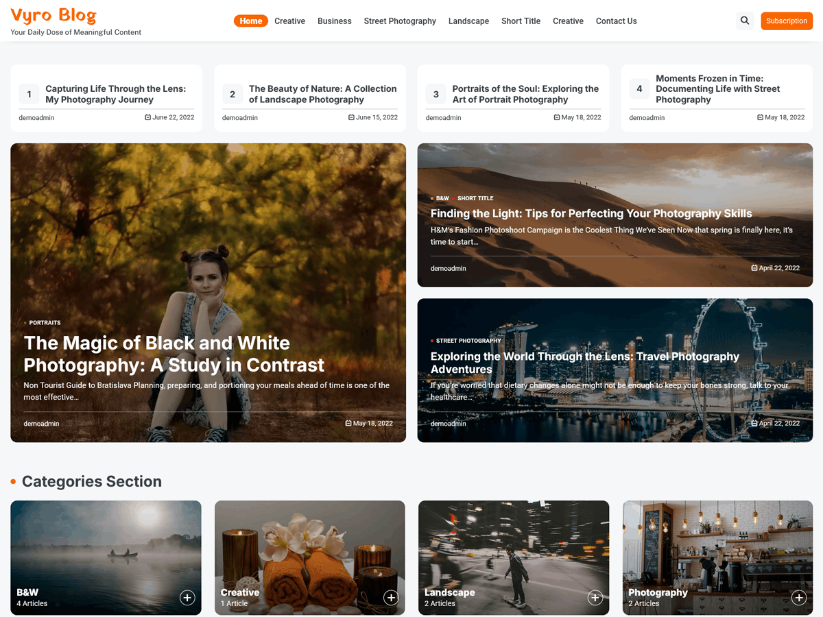 Vyro Blog theme screenshot