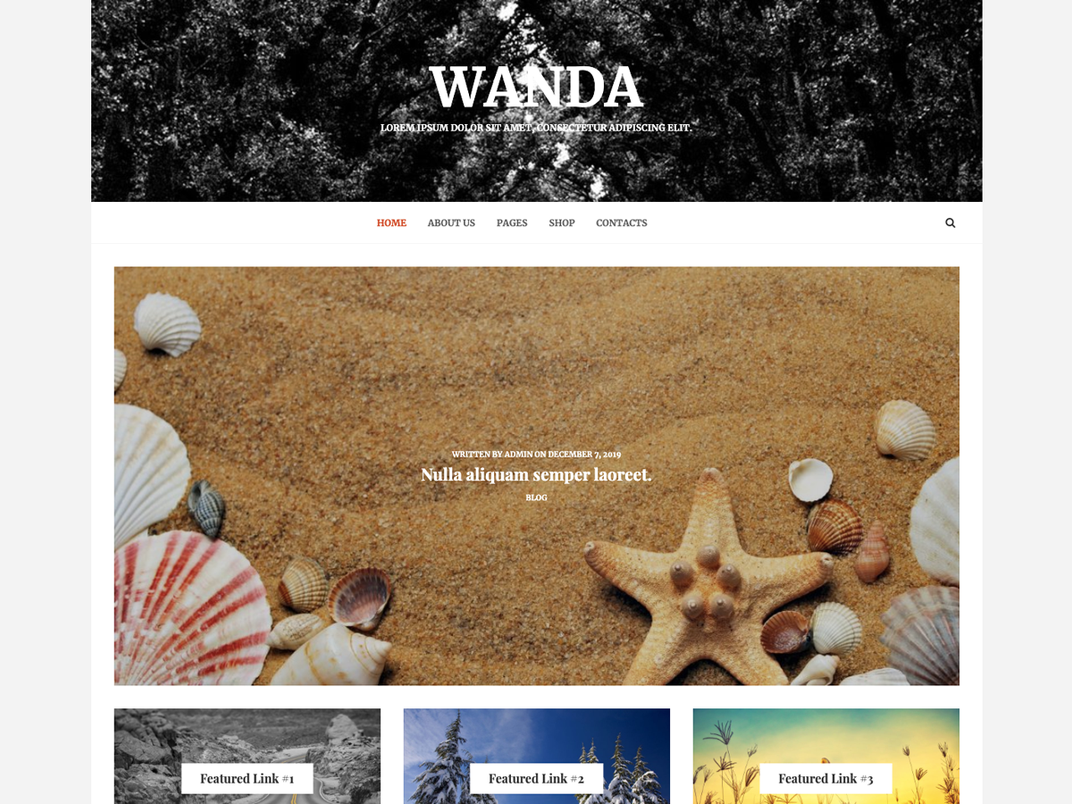 Wanda Lite theme screenshot