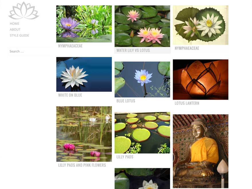 Water Lily theme screenshot
