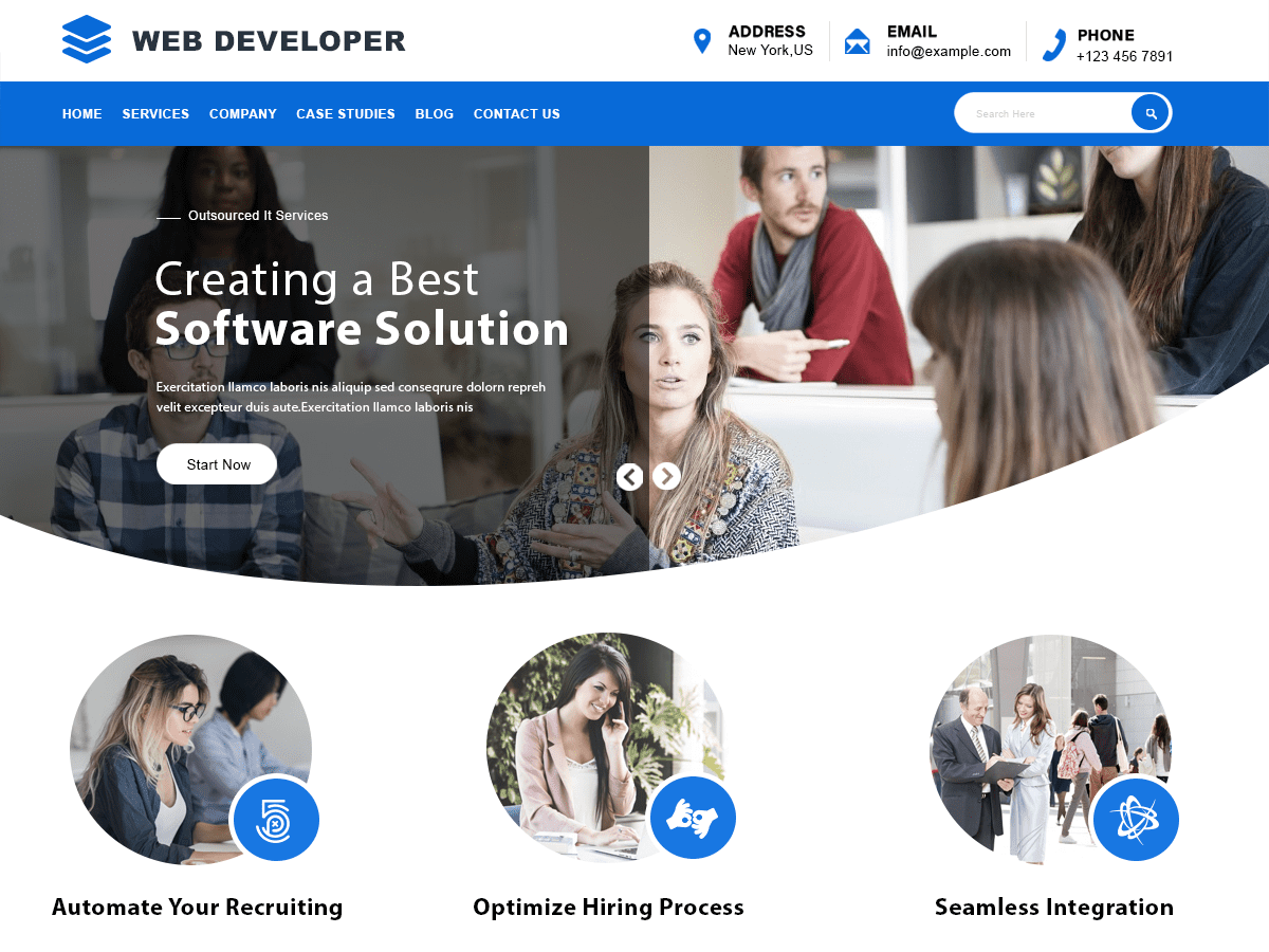 Web Developer theme screenshot