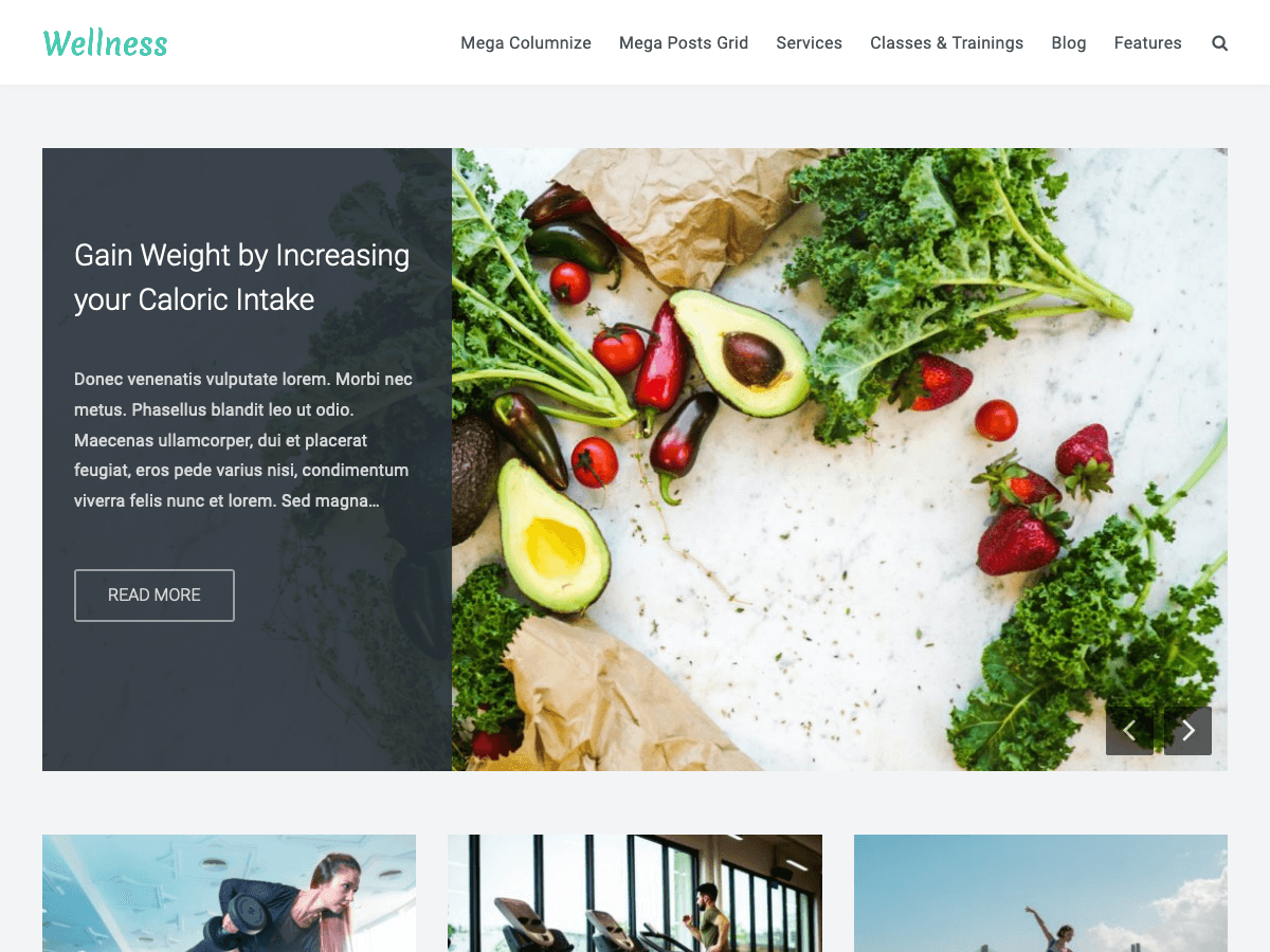 Wellness theme screenshot
