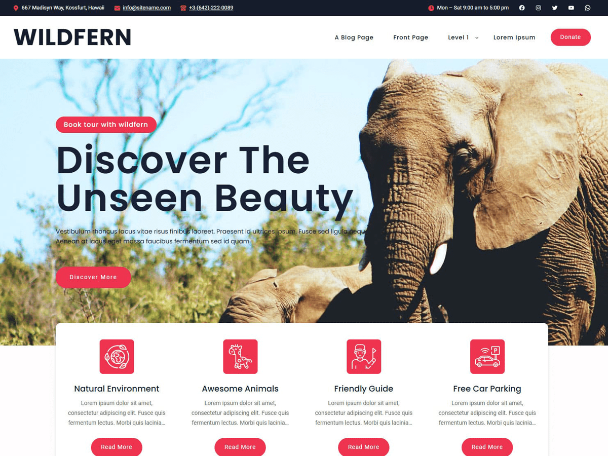 Wildfern theme screenshot