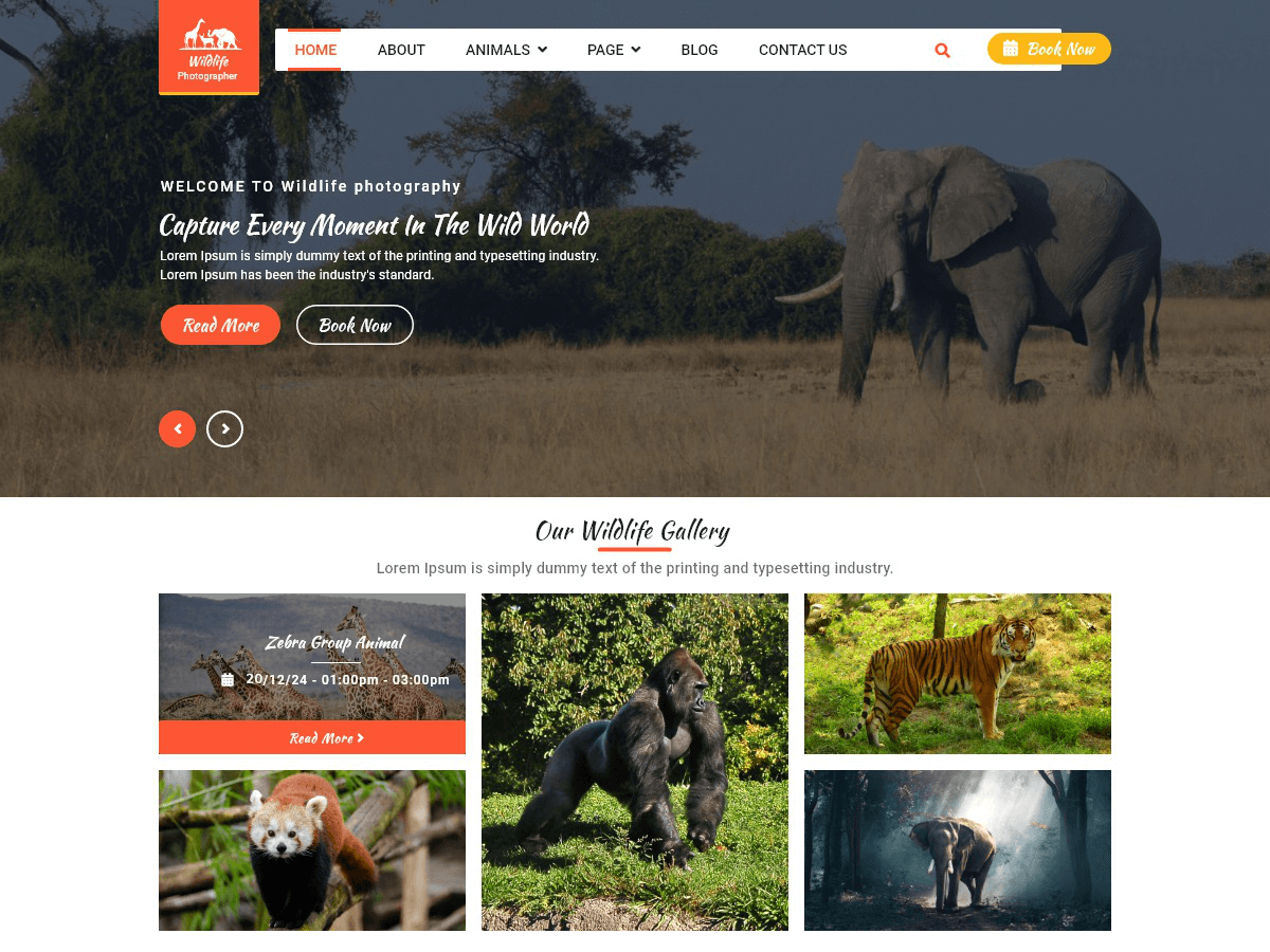 Wildlife Photography theme screenshot