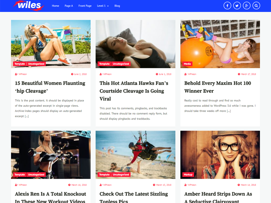 Wiles theme screenshot