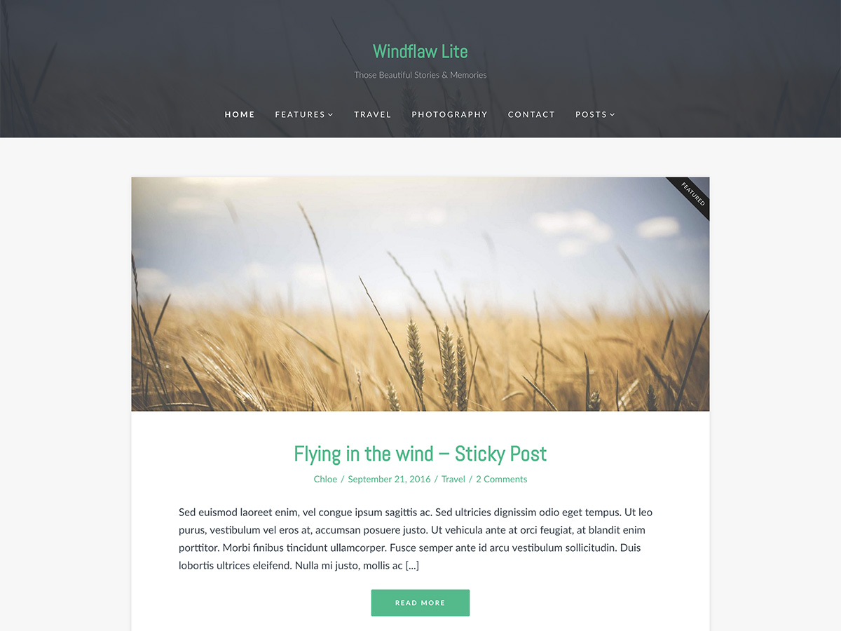 Windflaw Lite theme screenshot
