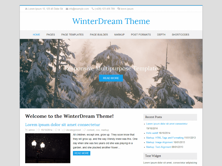 WinterDream theme screenshot