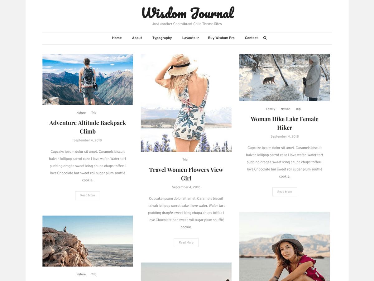 Wisdom Journal theme screenshot