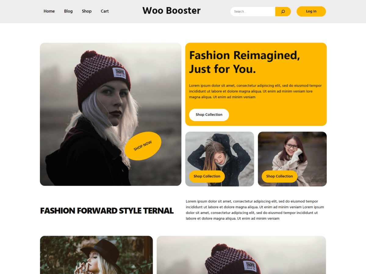 Woo Booster Fashion theme screenshot