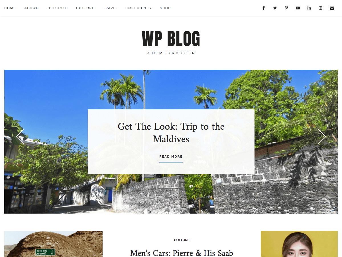 WP Blog theme screenshot