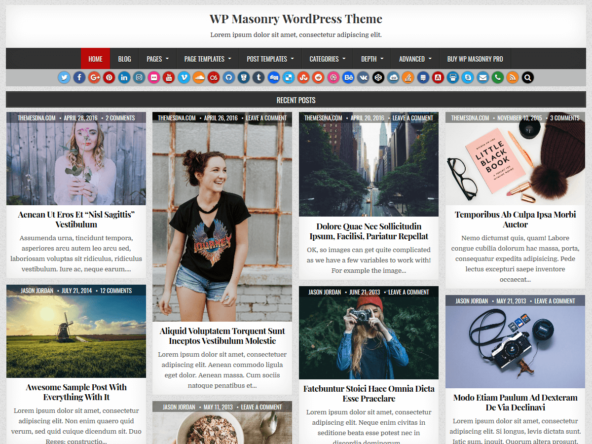 WP Masonry theme screenshot