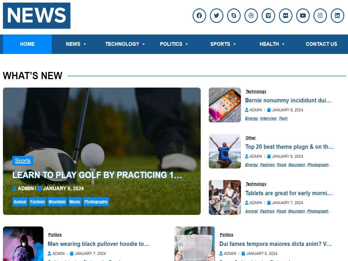wp news theme screenshot