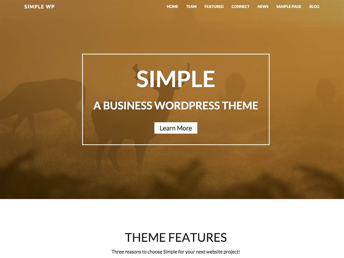 WP Simple theme screenshot