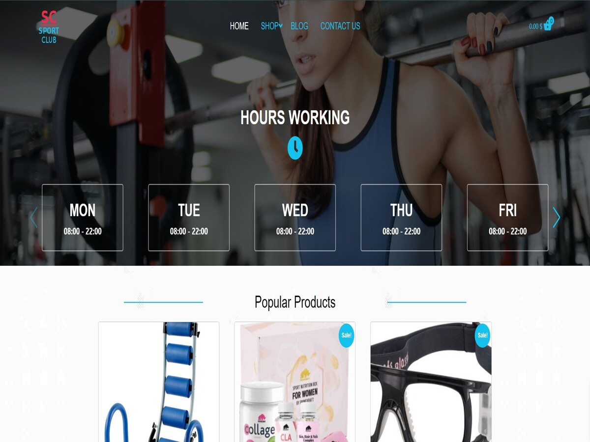 wp sport club theme screenshot