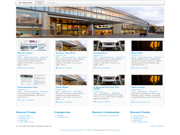 WP StrapGrid Lite theme screenshot