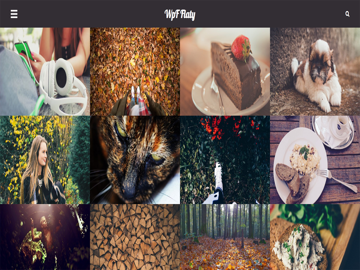 WpF Flaty theme screenshot