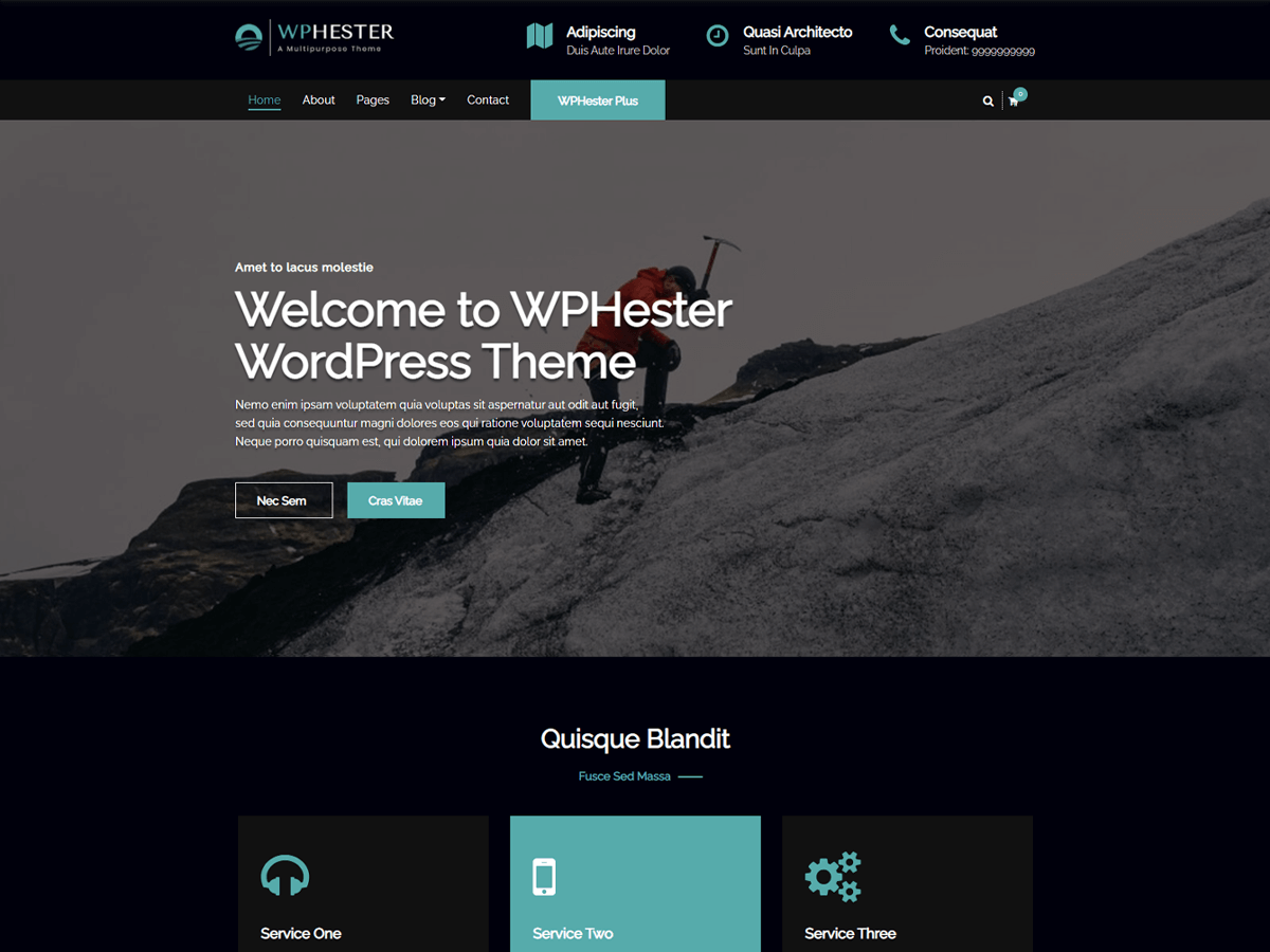 WPHester theme screenshot