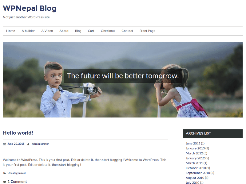 WPNepal Blog theme screenshot