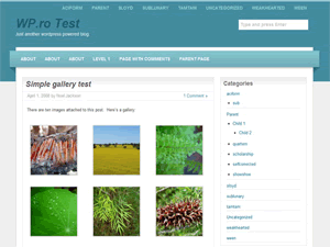 wpTune theme screenshot