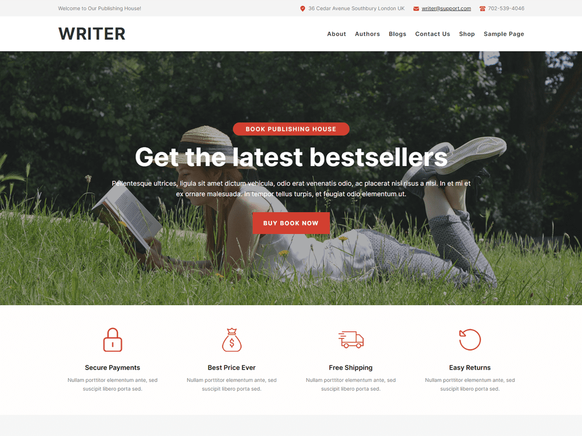 Writer FSE theme screenshot