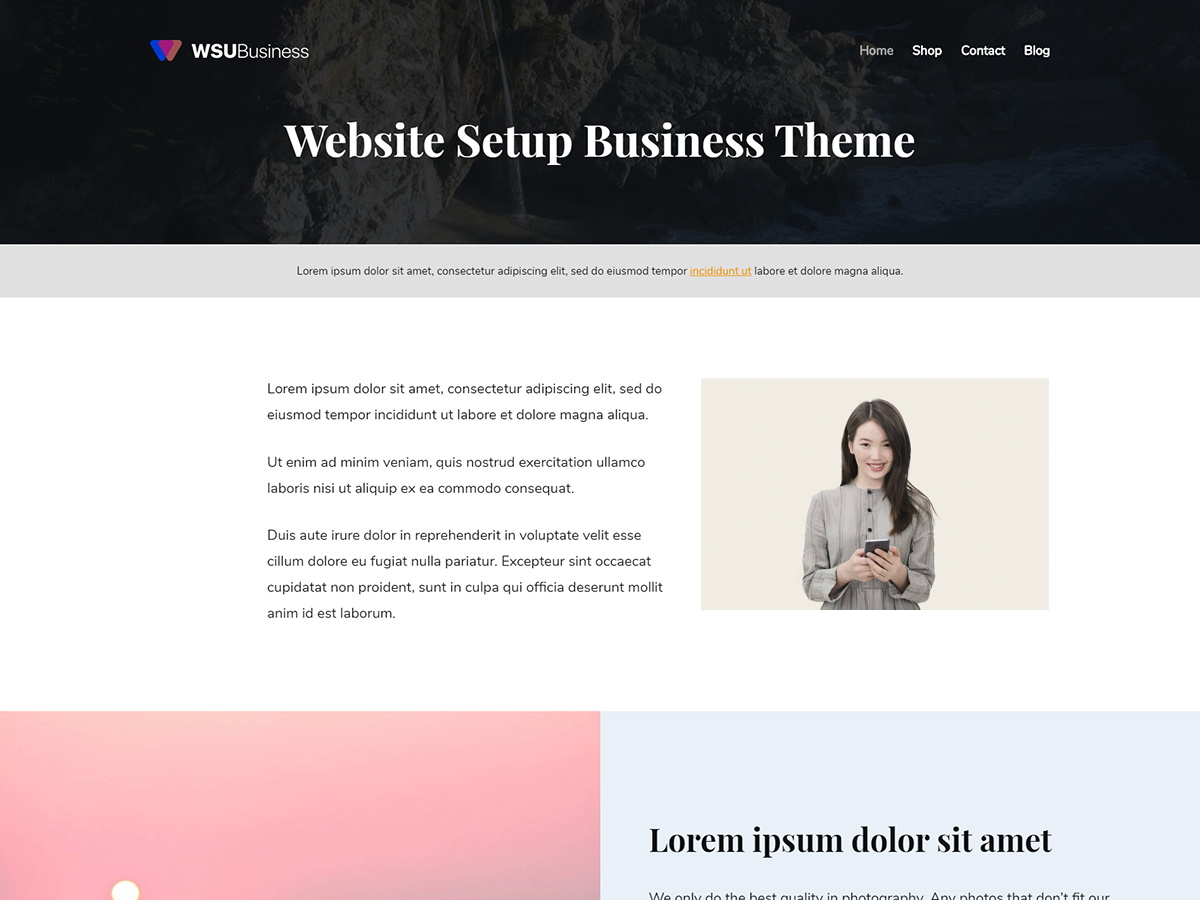 WSU Business theme screenshot