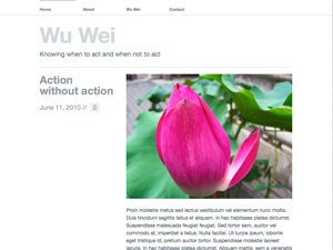 Wu Wei theme screenshot