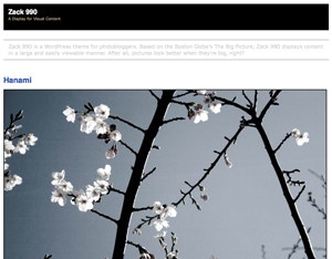 Zack 990 theme screenshot