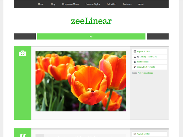 zeeLinear theme screenshot