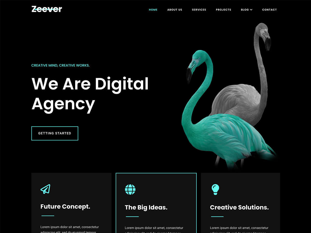 Zeever theme screenshot