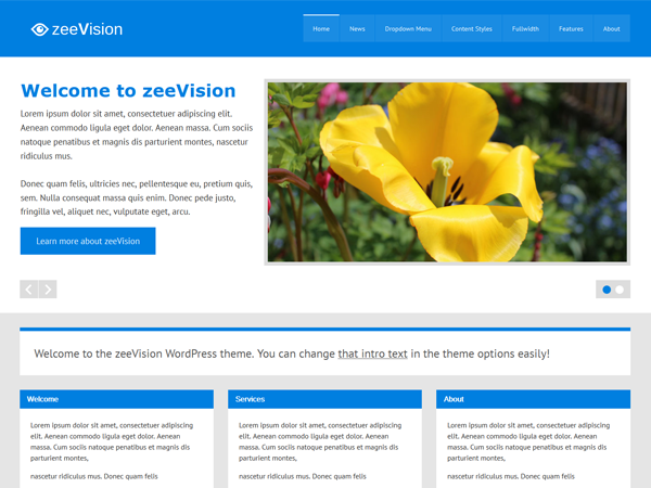 zeeVision theme screenshot