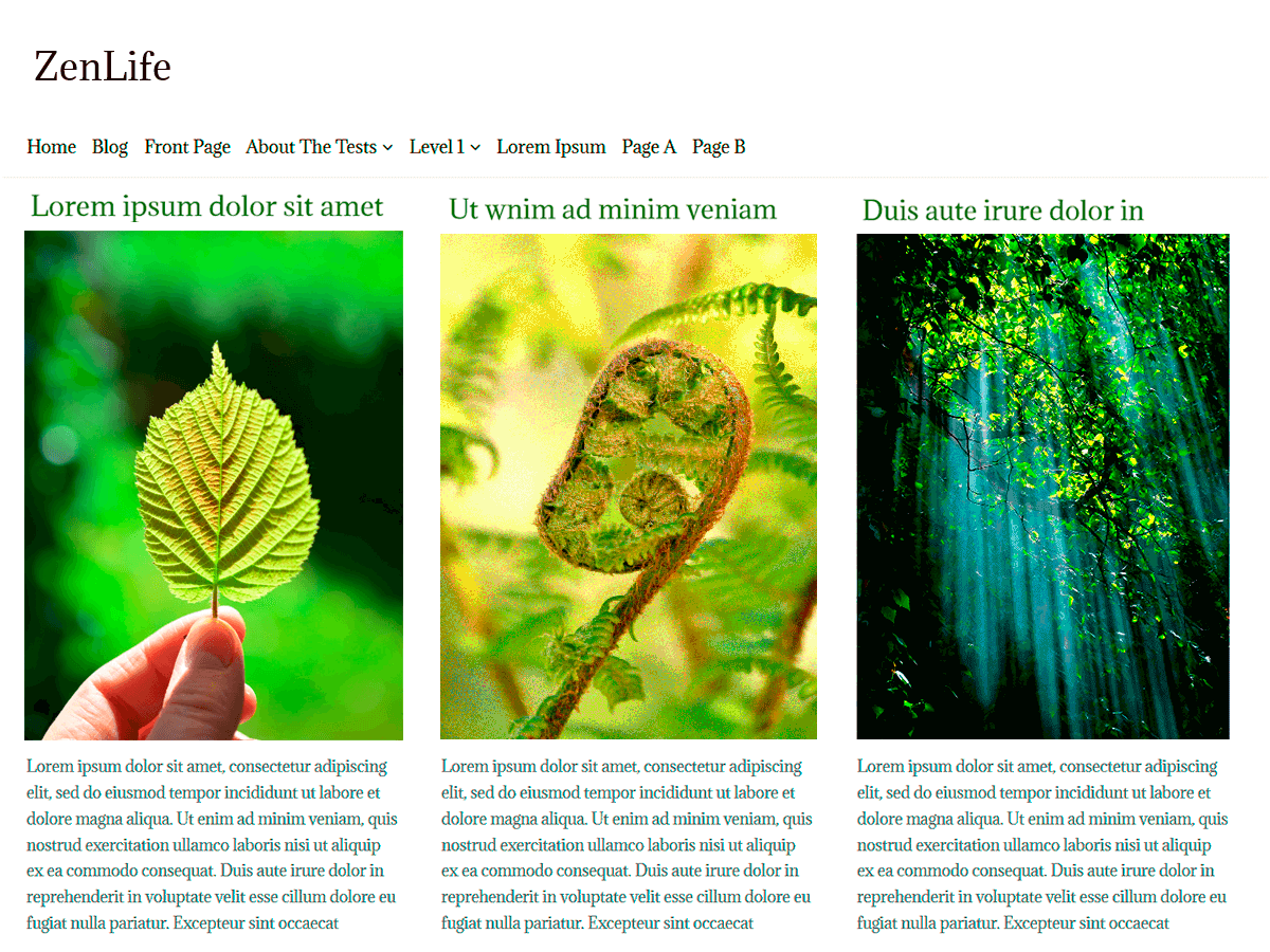 ZenLife theme screenshot