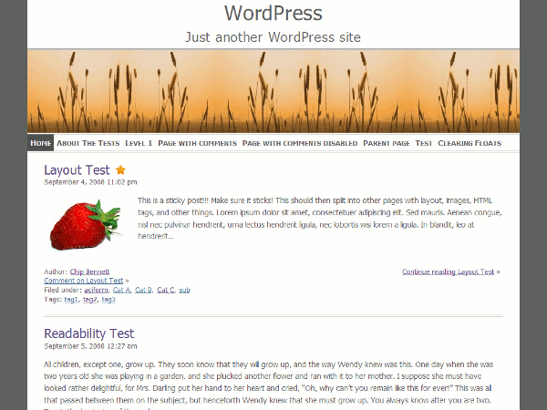 ZenLite theme screenshot
