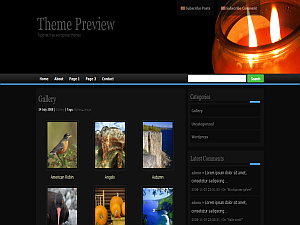 zindi-II theme screenshot