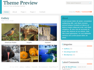 zindi theme screenshot