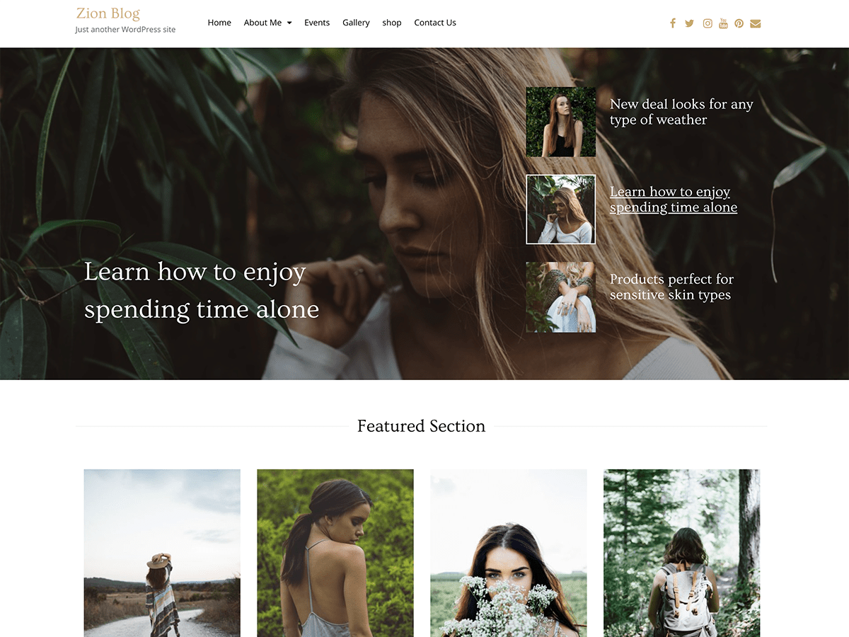 Zion Blog theme screenshot