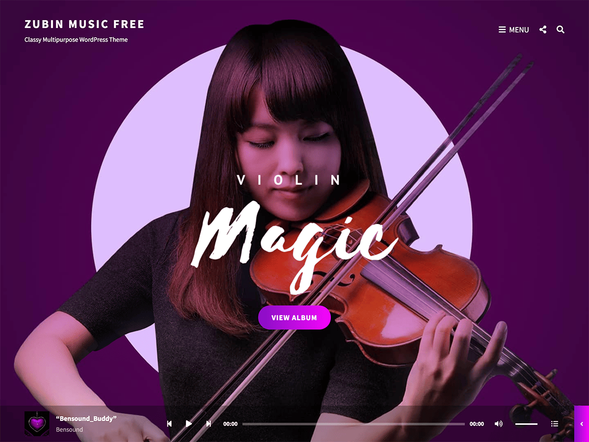 Zubin Music theme screenshot
